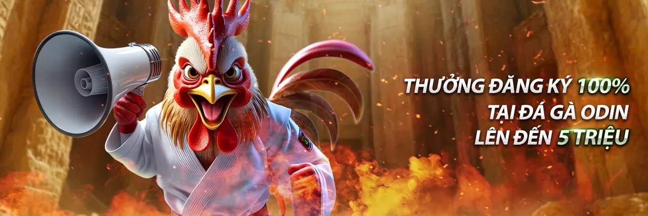 Cá cược thể thao linkw88